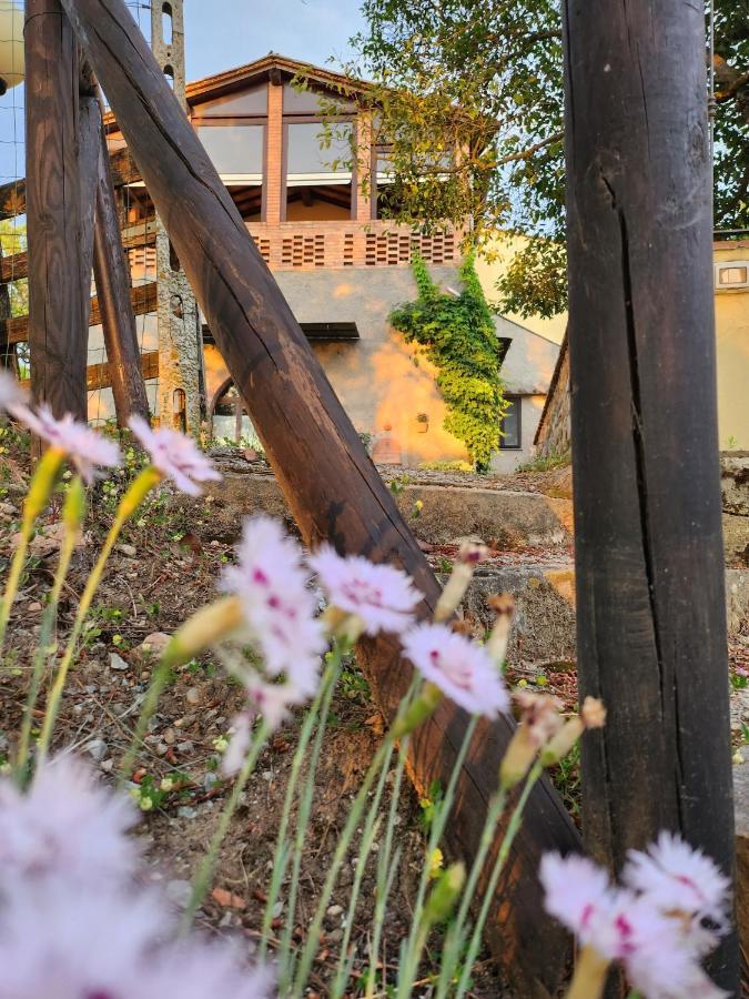 Bed and Breakfast Il Giuggiolo - La Collina Della Quiete Чертальдо Экстерьер фото