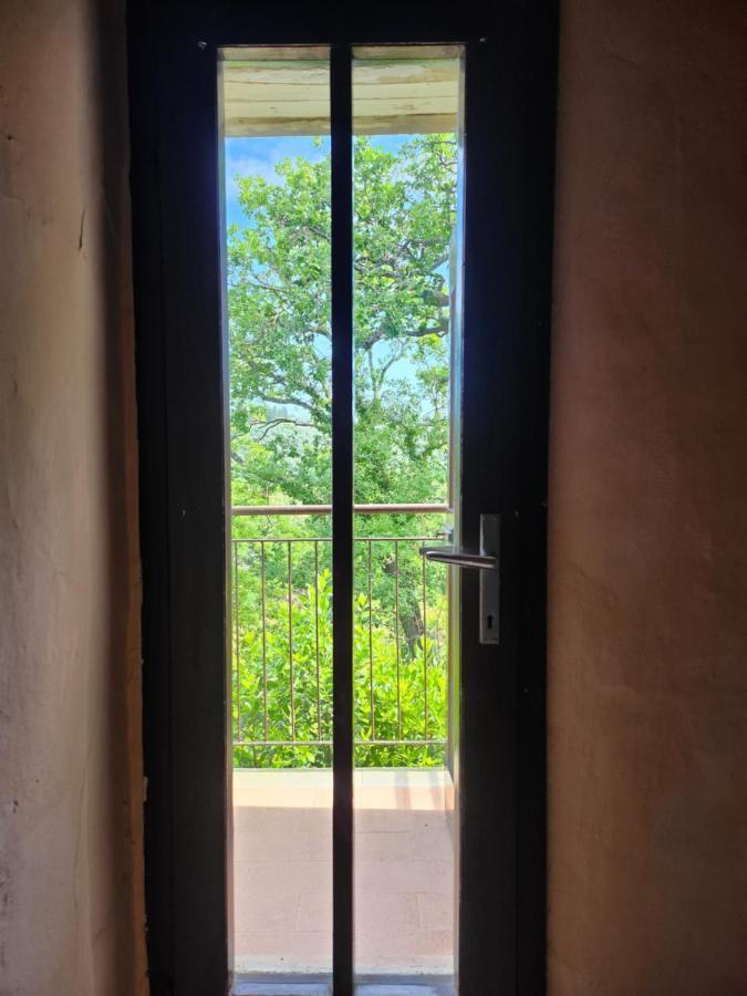 Bed and Breakfast Il Giuggiolo - La Collina Della Quiete Чертальдо Экстерьер фото